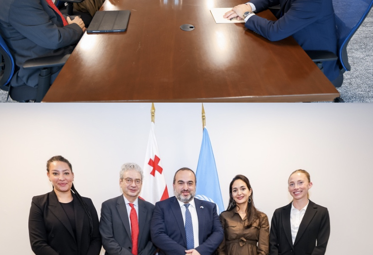 Anne-Sophie Sebban-Bécache, vice-présidente pour l&rsquo;Europe, a rencontré Son Excellence Lasha Darsalia, vice-ministre des Affaires étrangères de la Géorgie.